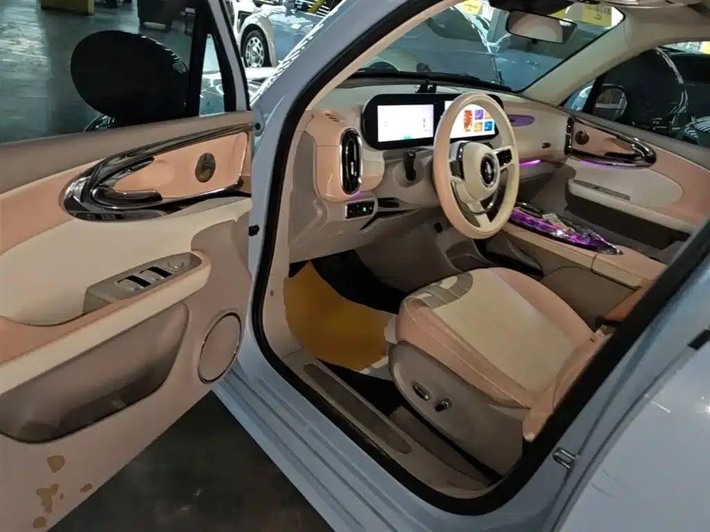 Euler Ballet Cat 2022 500km Sleeping Beauty Edition — миниатюра 16