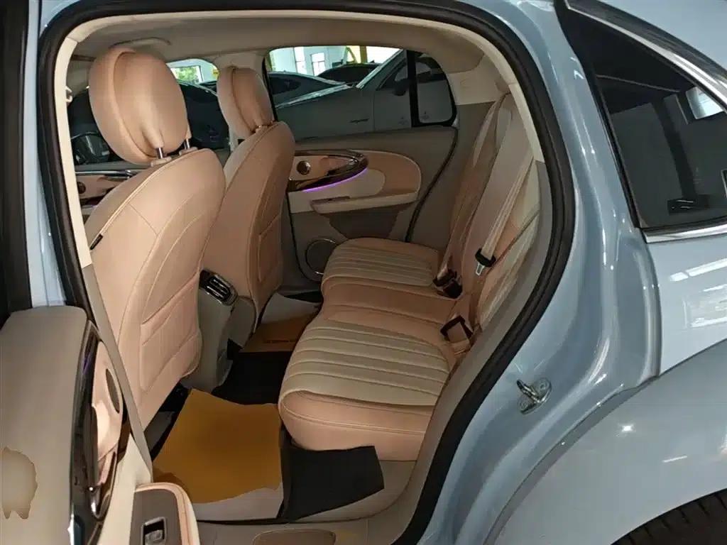 Euler Ballet Cat 2022 500km Sleeping Beauty Edition — миниатюра 17