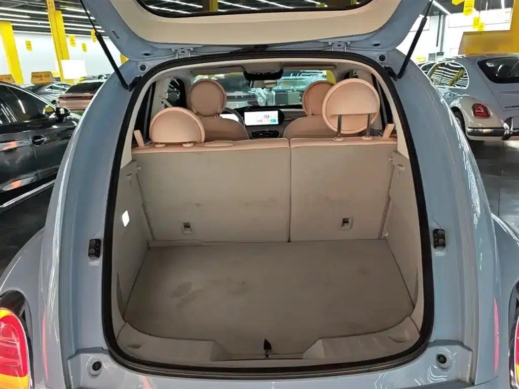 Euler Ballet Cat 2022 500km Sleeping Beauty Edition — миниатюра 19