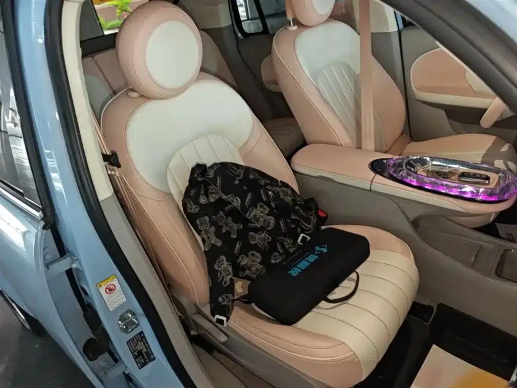 Euler Ballet Cat 2022 500km Sleeping Beauty Edition — миниатюра 25