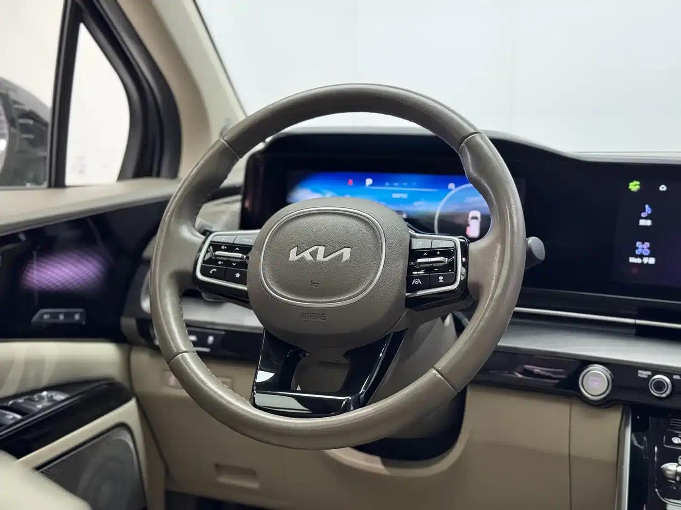 Carnival 2021 2.0T Flagship Edition — миниатюра 17