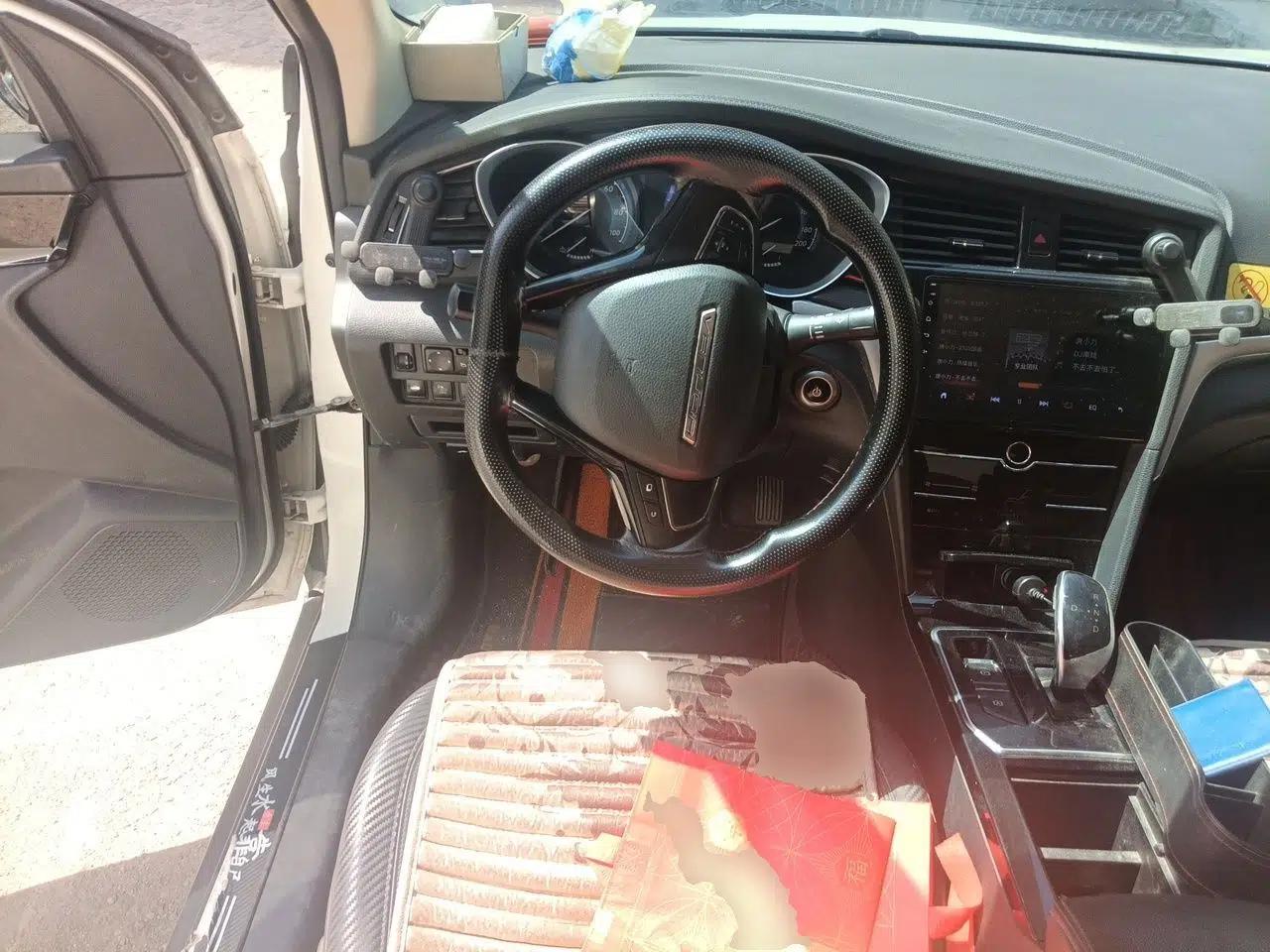 Venucia D60EV 2020 Standard Range Smart Drive Edition — миниатюра 11