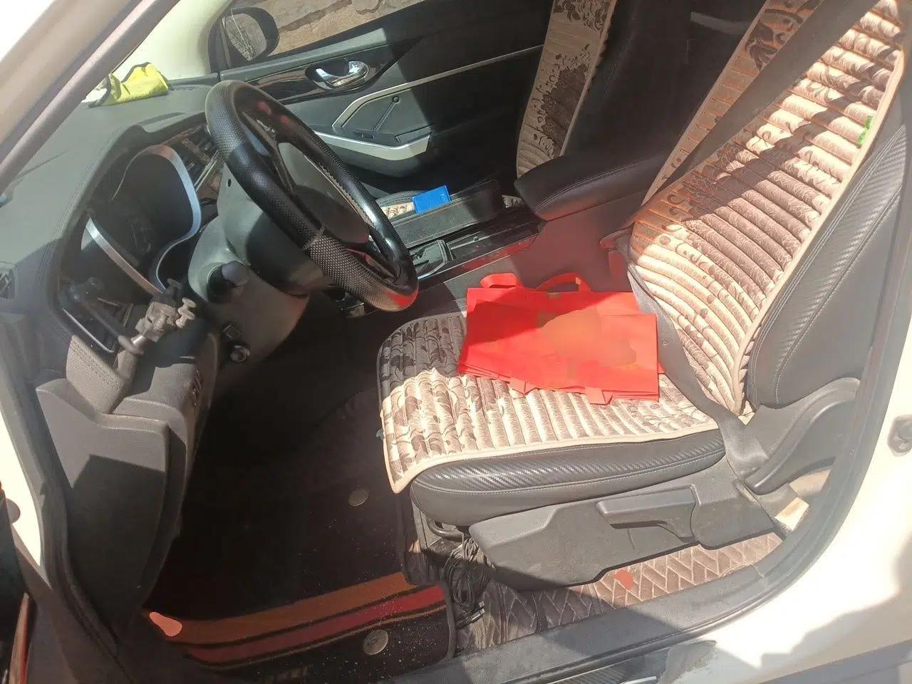 Venucia D60EV 2020 Standard Range Smart Drive Edition — миниатюра 16
