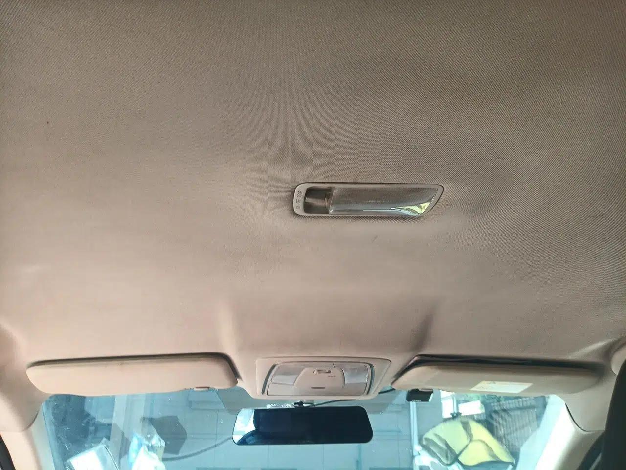 Venucia D60EV 2020 Standard Range Smart Drive Edition — миниатюра 19