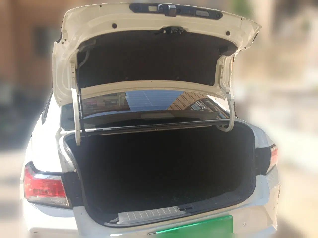 Venucia D60EV 2020 Standard Range Smart Drive Edition — миниатюра 20