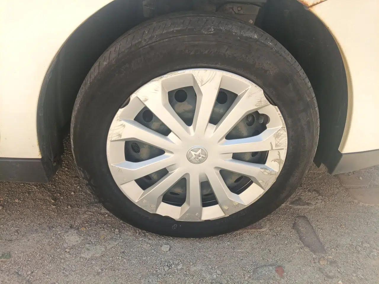 Venucia D60EV 2020 Standard Range Smart Drive Edition — миниатюра 8