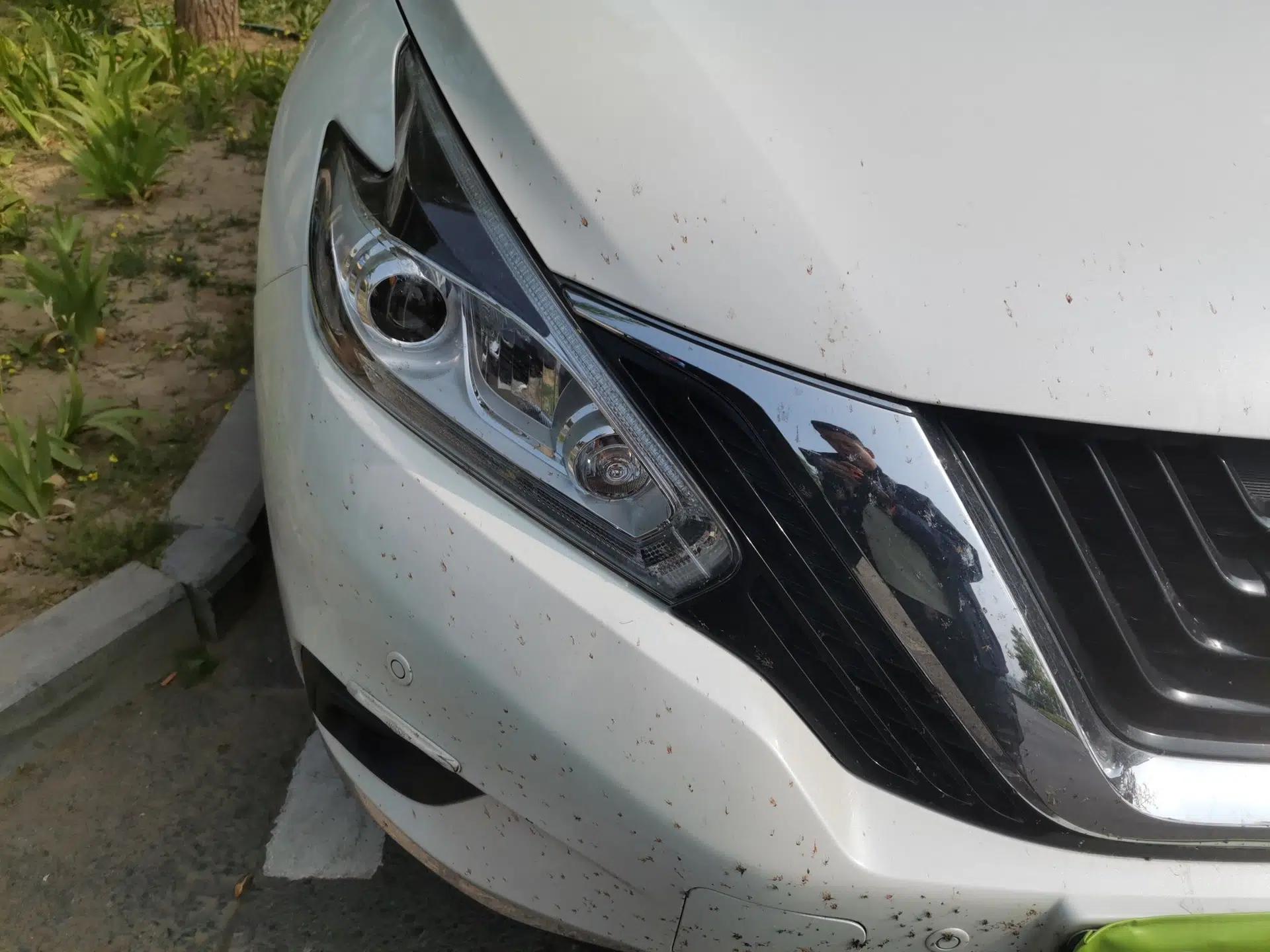 Nissan Murano 2019 2.5L XL Two-Wheel Drive Smart Connect Luxury Edition China VI Standard — миниатюра 7