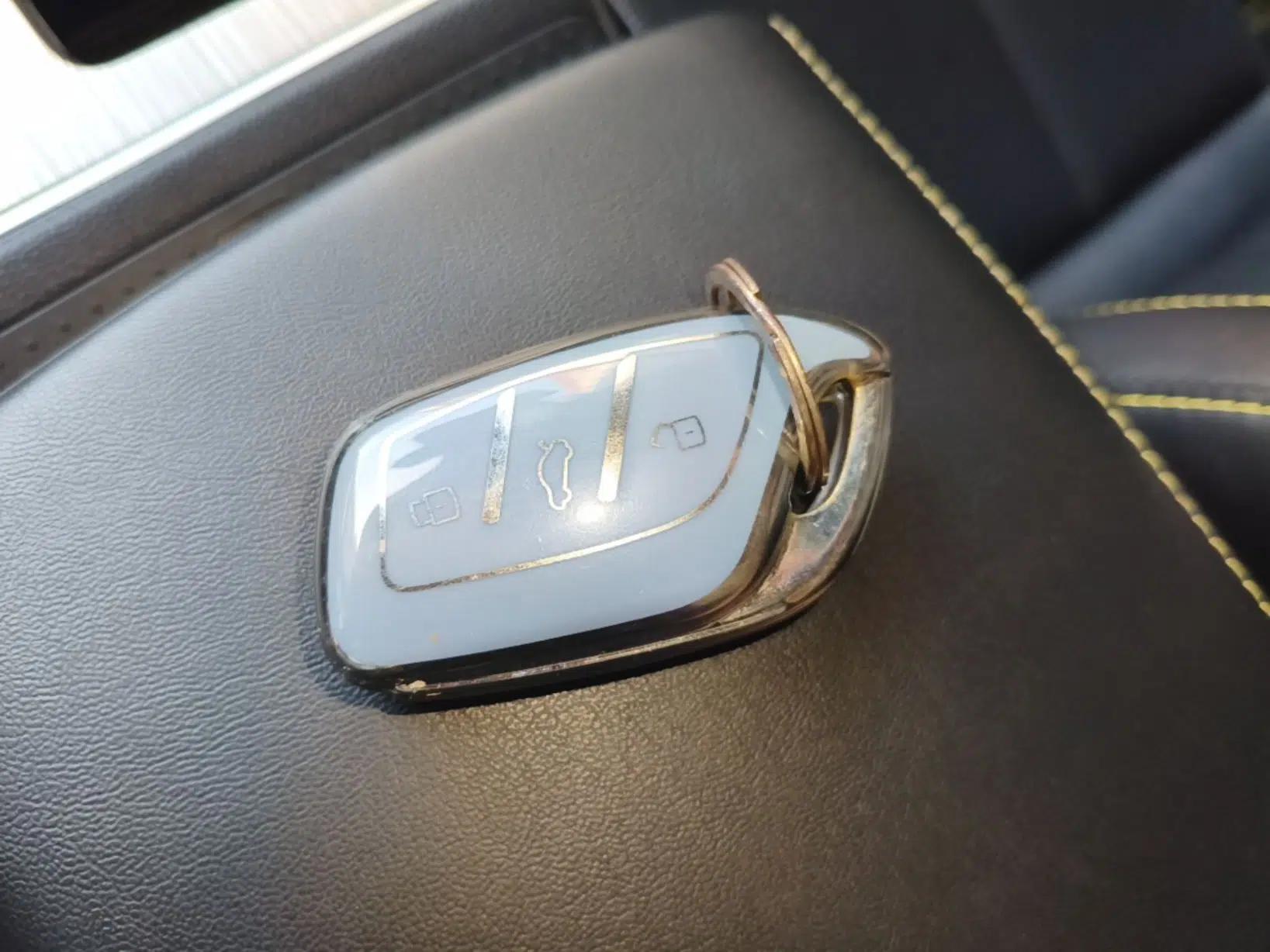 Roewe RX5 New Energy 2020 ePLUS National Trend Ronglin Flagship Edition — миниатюра 12