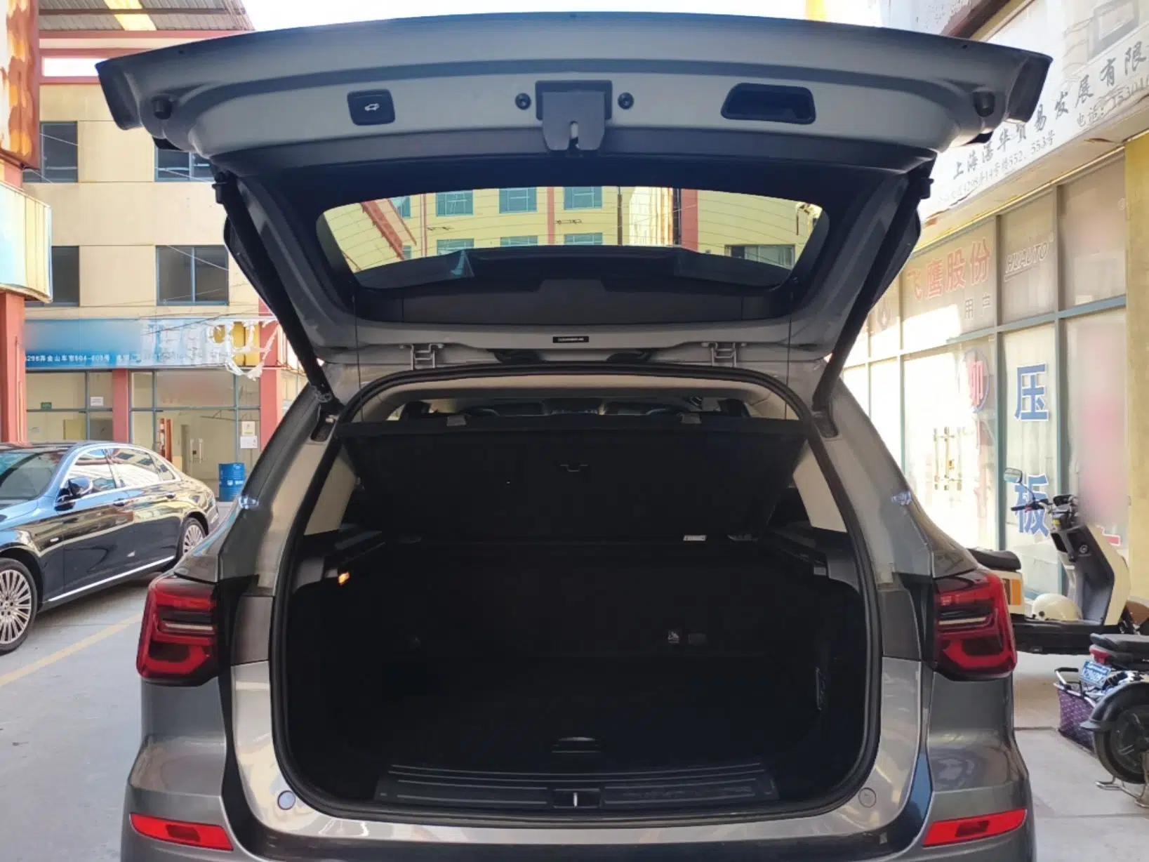 Roewe RX5 New Energy 2020 ePLUS National Trend Ronglin Flagship Edition — миниатюра 22