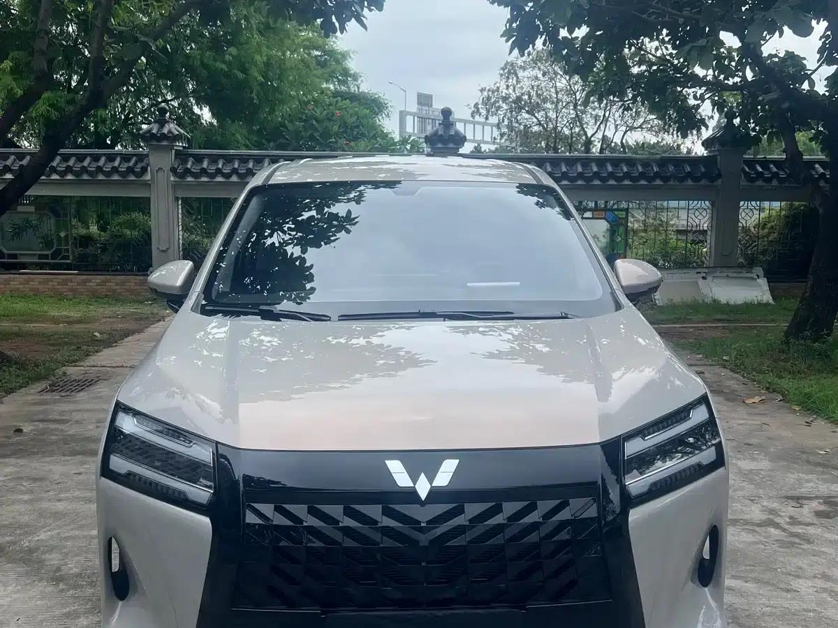 Starlight 730 2025 1.5T CVT Elite — миниатюра 2