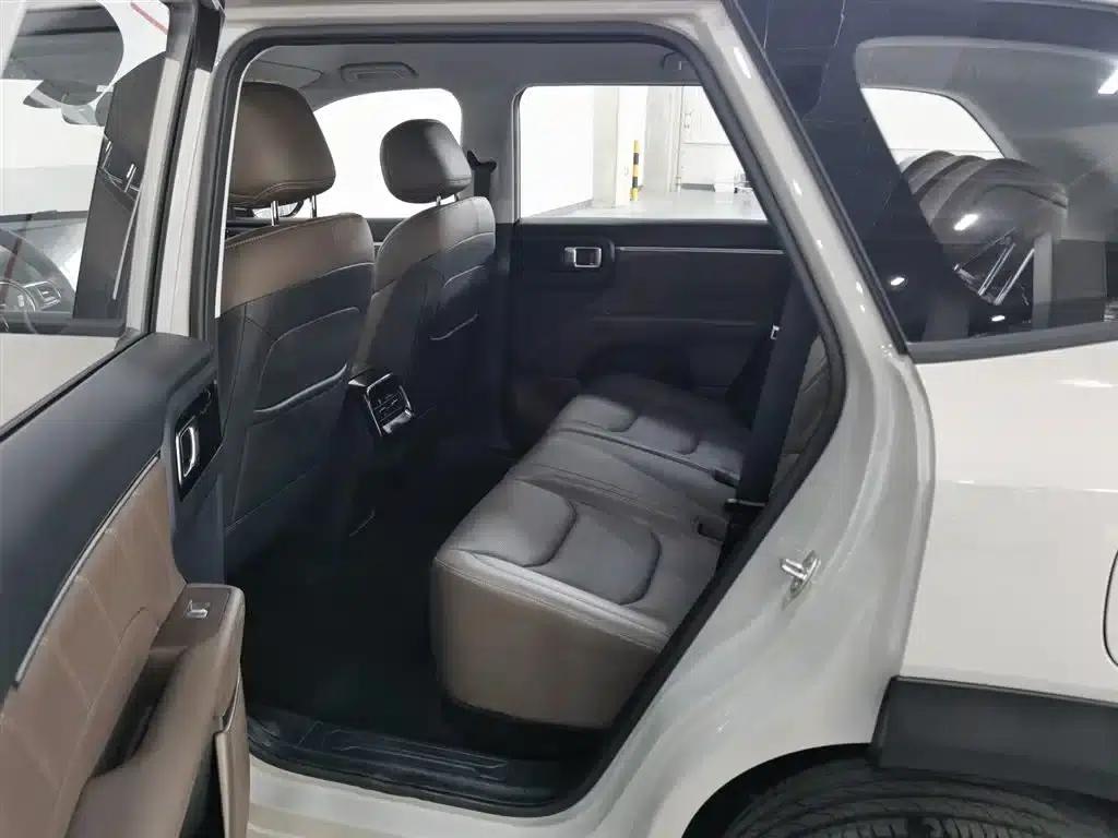 Starlight 560 New Energy 2026 Plug-in Hybrid 125km/h Luxury Model — миниатюра 15