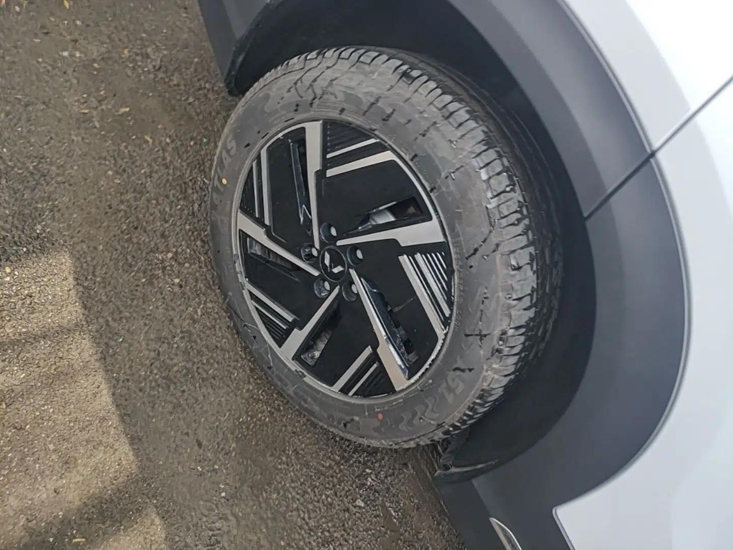Wuling Xingguang S 2024 130 km Flagship Version — миниатюра 10