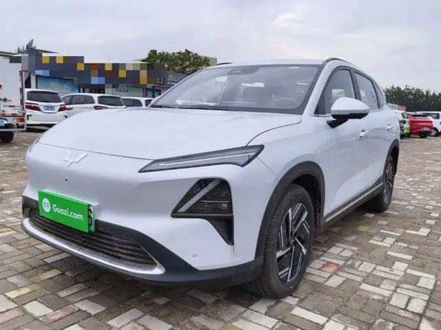 Wuling Xingguang S 2024 130 km Flagship Version