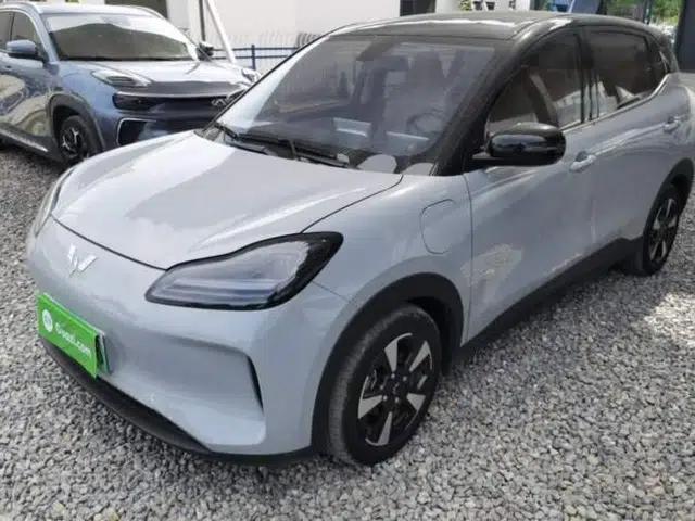 Wuling Bingo PLUS 2024 510 km Flagship Edition Four-Seater Version