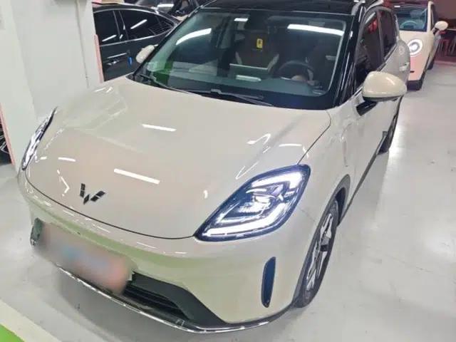 Wuling Bingo S 2025 Model 430km Flagship Edition