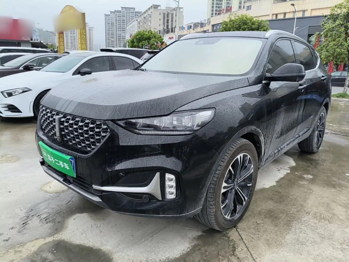 Wey VV6 2021 2.0T Two-Wheel Drive Smart Protection+ — миниатюра 1