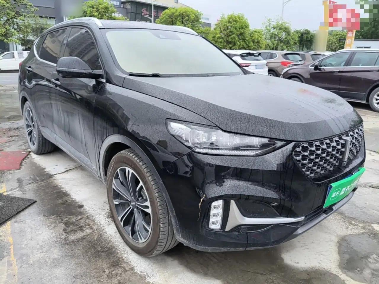 Wey VV6 2021 2.0T Two-Wheel Drive Smart Protection+ — миниатюра 3