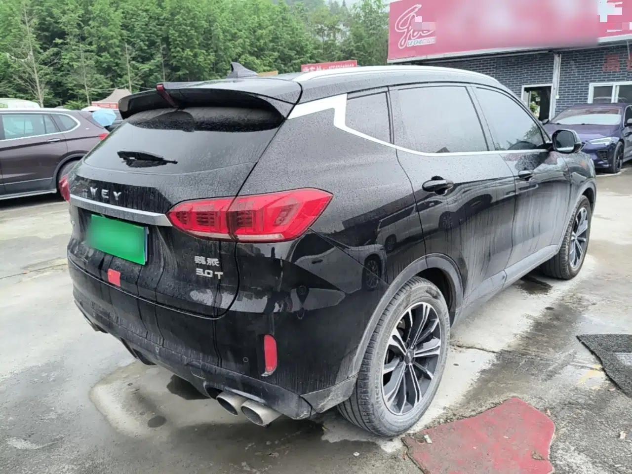 Wey VV6 2021 2.0T Two-Wheel Drive Smart Protection+ — миниатюра 6
