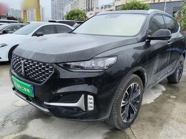 Wey VV6 2021 2.0T Two-Wheel Drive Smart Protection+