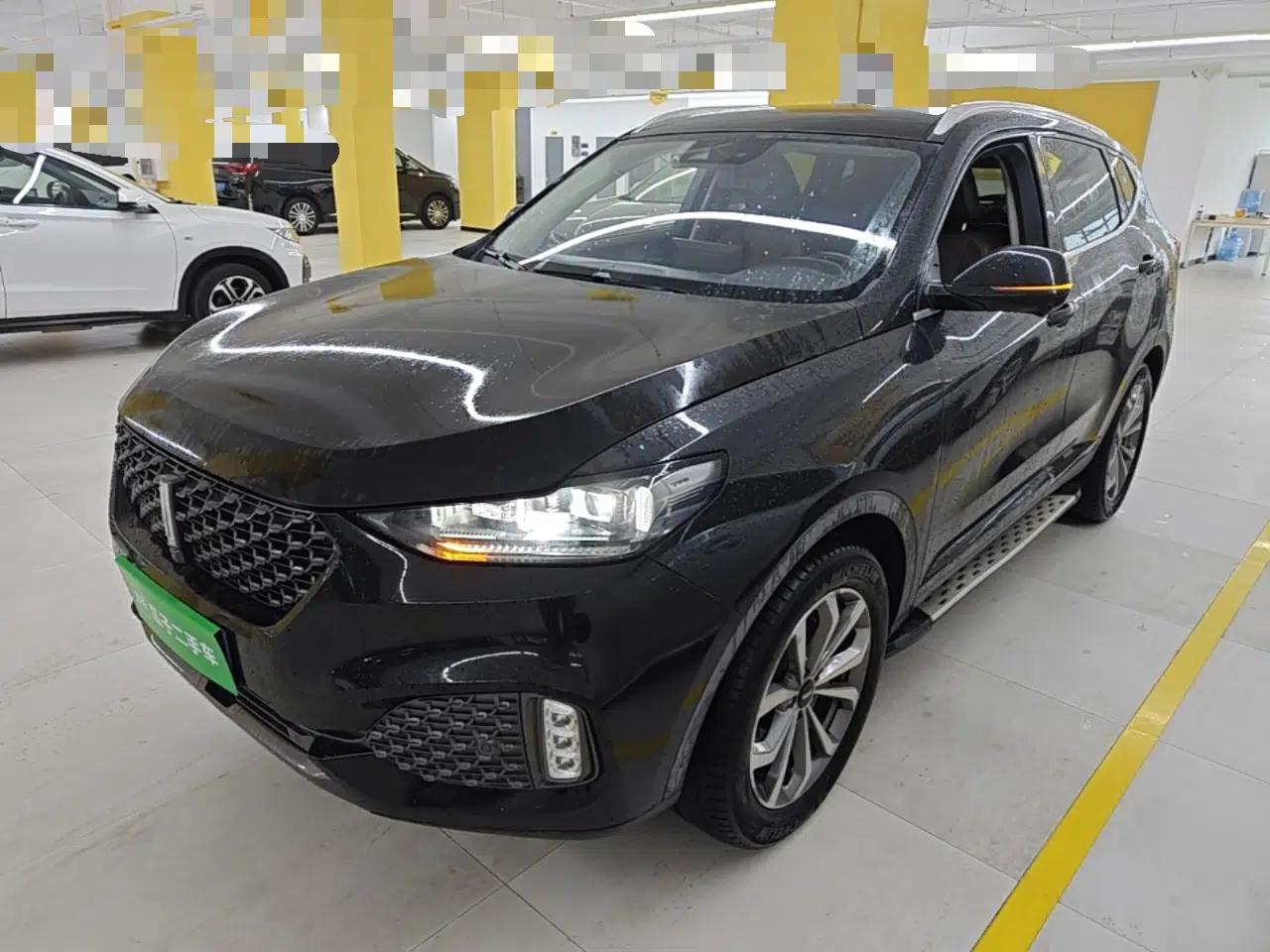 Wey VV6 2020 2.0T Two-Wheel Drive Smart Protection+ — миниатюра 1