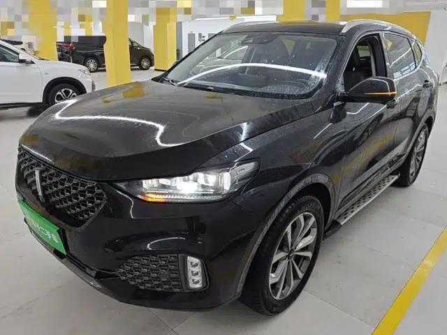 Wey VV6 2020 2.0T Two-Wheel Drive Smart Protection+
