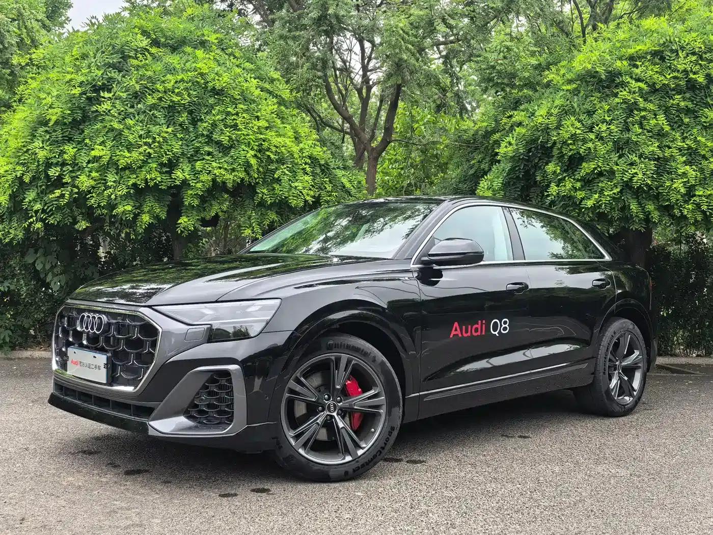 Audi Q8 2024 55 TFSI Luxury Dynamic — миниатюра 1