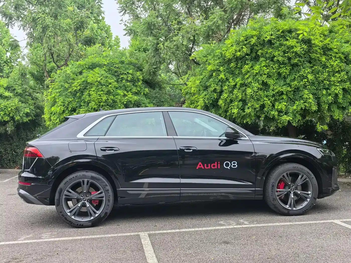 Audi Q8 2024 55 TFSI Luxury Dynamic — миниатюра 13