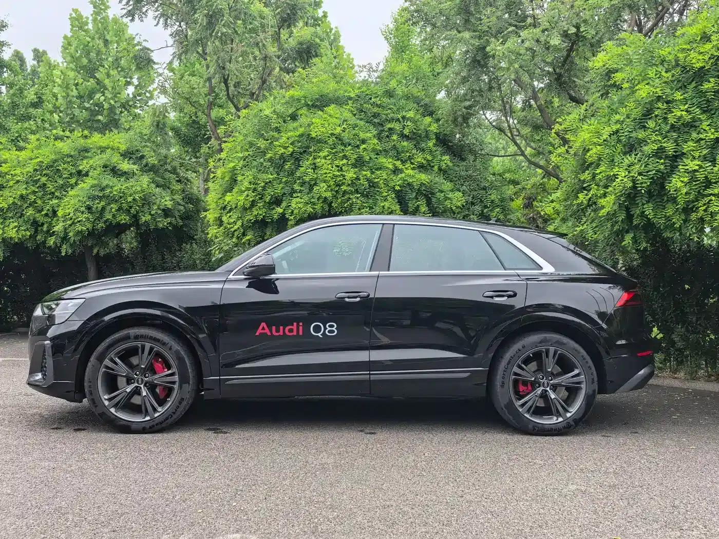 Audi Q8 2024 55 TFSI Luxury Dynamic — миниатюра 3