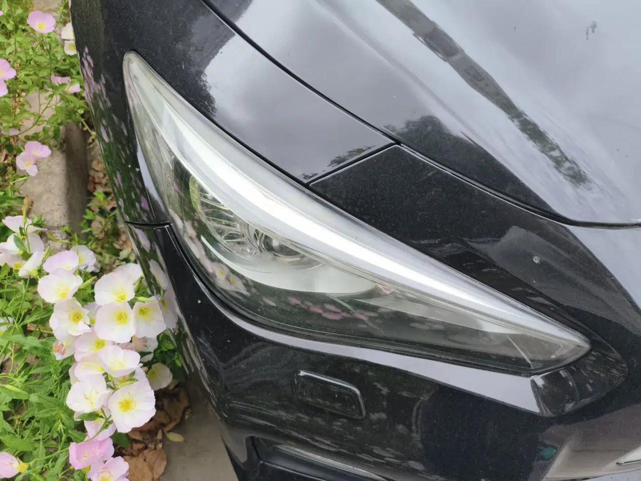 Infiniti Q50 2014 3.7L Luxury Sport Edition — миниатюра 7