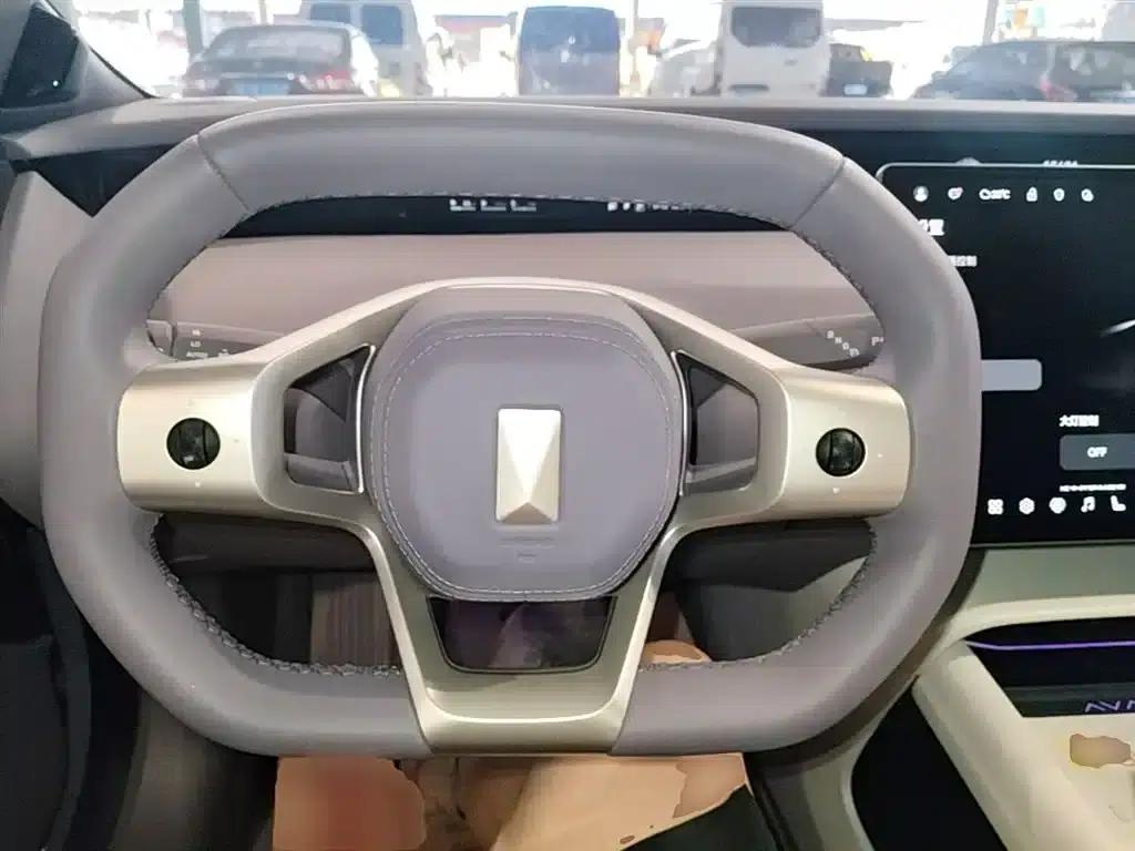 Avita 06 2025 Pro Extended Range — миниатюра 11