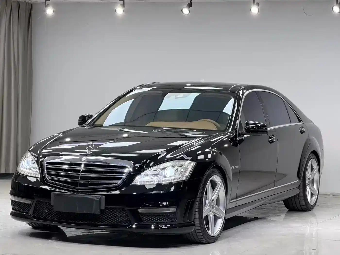 2010 Mercedes-Benz S-Class AMG S 65 — миниатюра 2