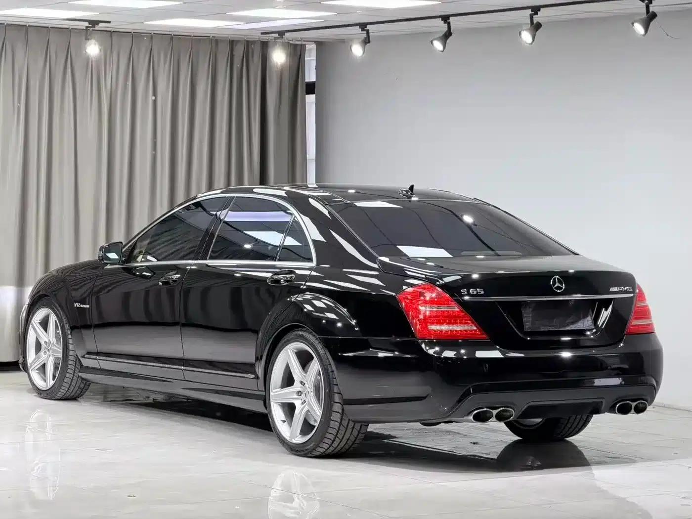 2010 Mercedes-Benz S-Class AMG S 65 — миниатюра 13