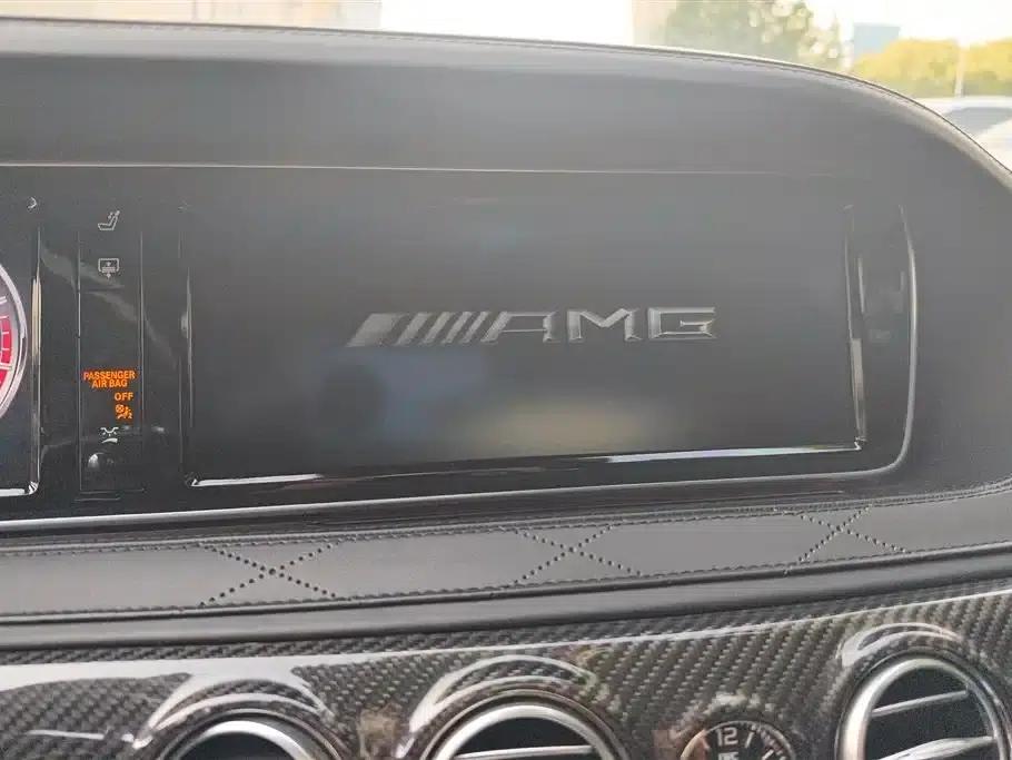 2014 Mercedes-Benz S-Class AMG S 65 L — миниатюра 13