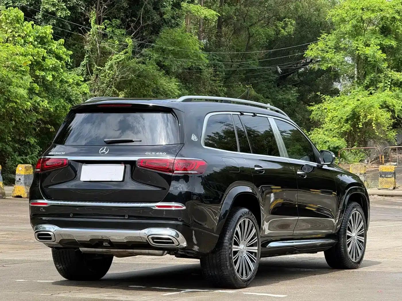 2021 Maybach GLS 480 4MATIC — миниатюра 14