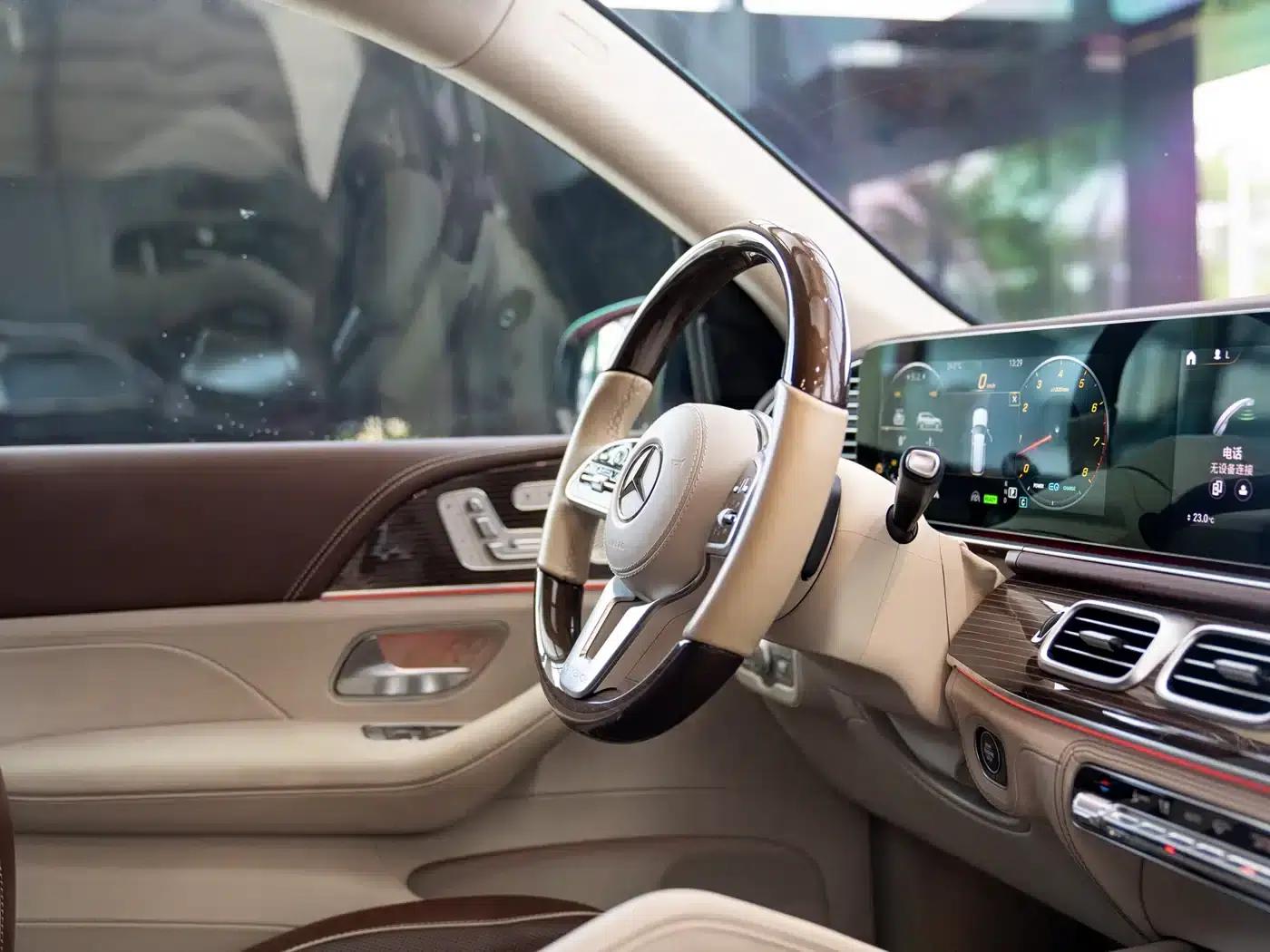 2021 Maybach GLS 600 4MATIC Elegant Edition — миниатюра 26