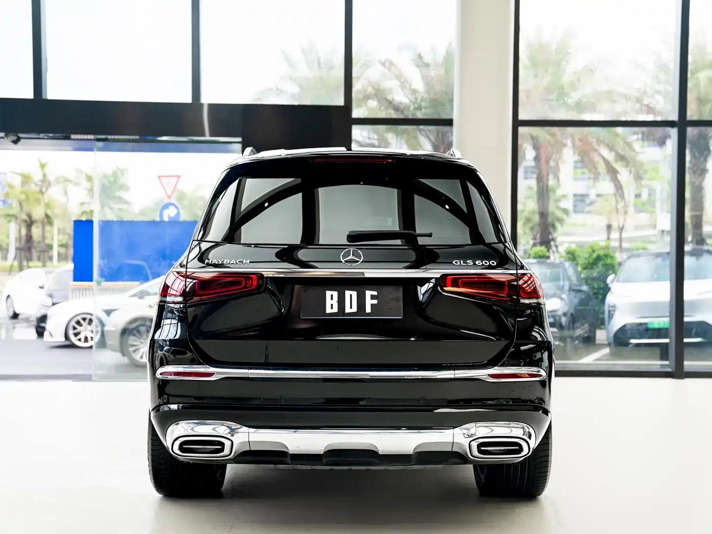 2021 Maybach GLS 600 4MATIC Elegant Edition — миниатюра 7