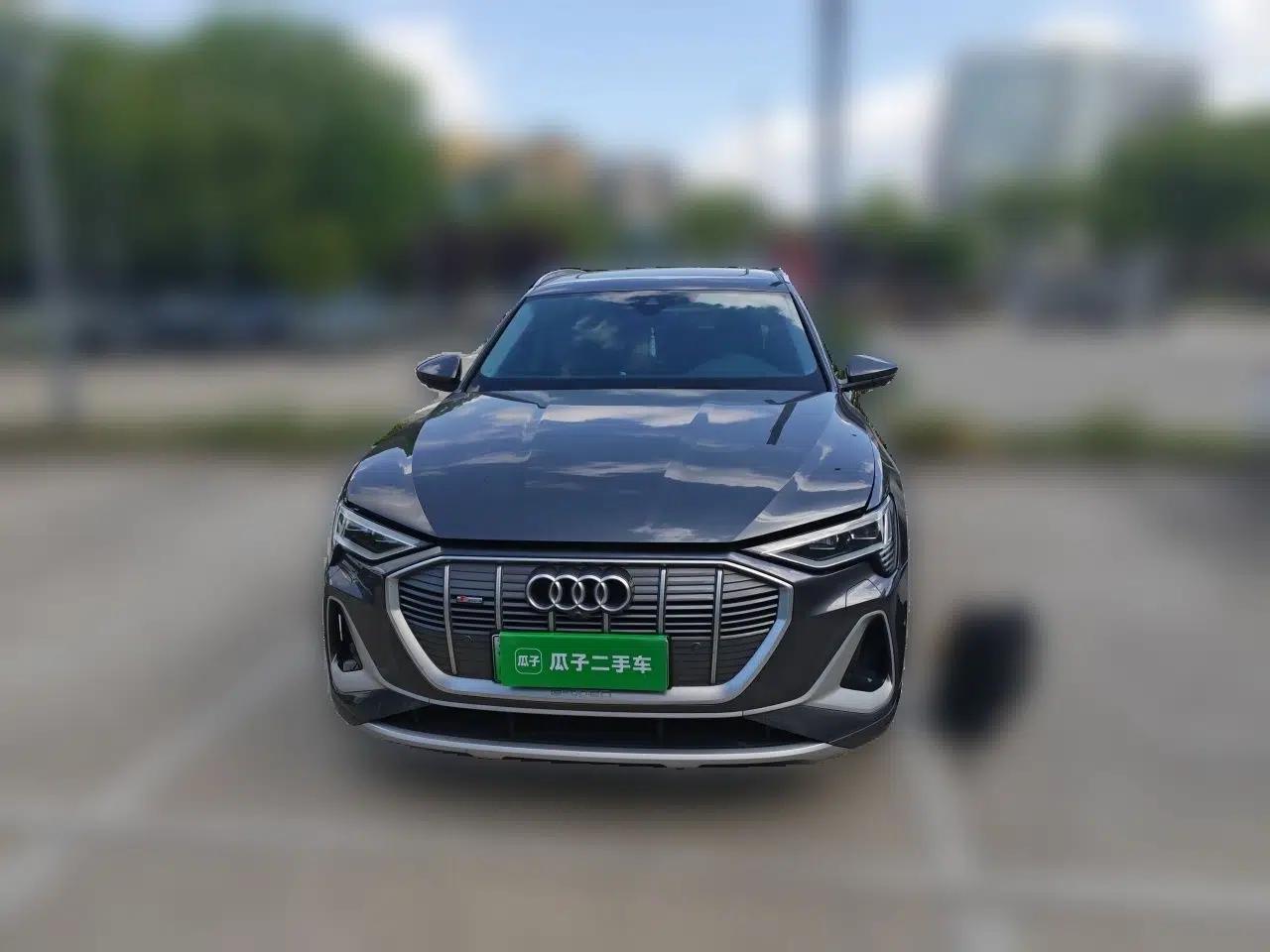 Audi e-tron 2021 50 quattro Prestige Edition — миниатюра 2