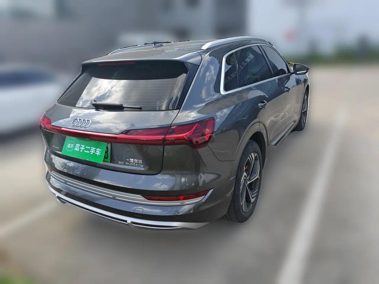 Audi e-tron 2021 50 quattro Prestige Edition — миниатюра 6