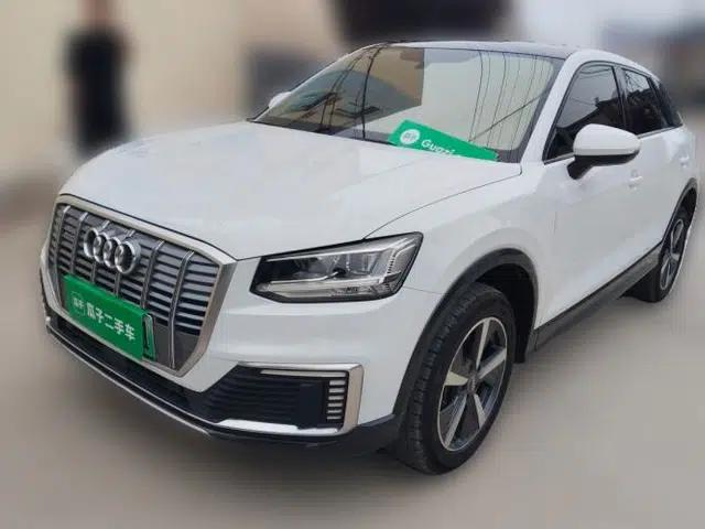 Audi Q2L e-tron 2019 Q2L e-tron Pure Electric Smart Enjoyment Model