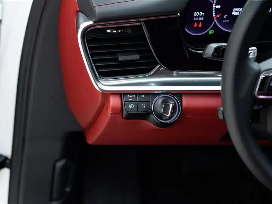 2022 Cayenne E-Hybrid 2.0T Platinum Edition — миниатюра 19
