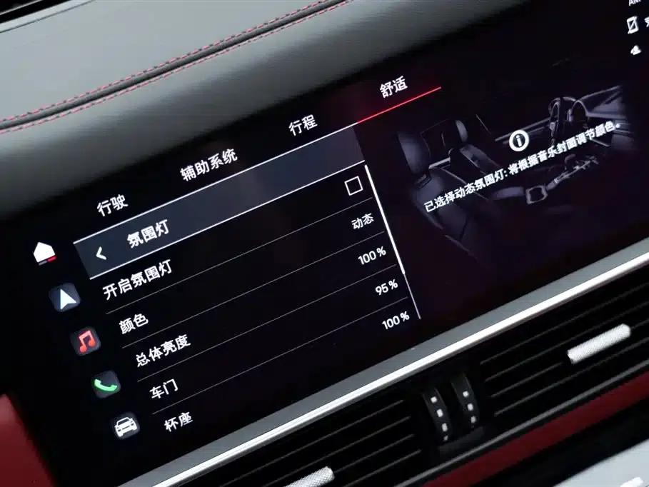 2022 Cayenne E-Hybrid 2.0T Platinum Edition — миниатюра 25
