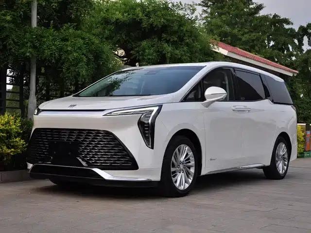 Century 2023 2.0T Six-Seat Luxury Edition