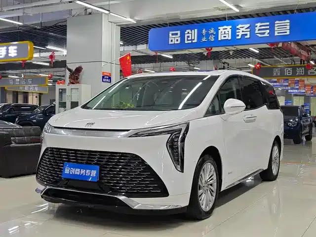 Century 2023 2.0T Six-Seat Luxury Edition