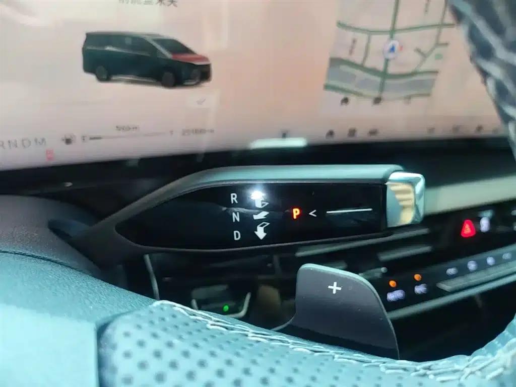 Century 2025 2.0T Four-Seat Private Edition — миниатюра 14