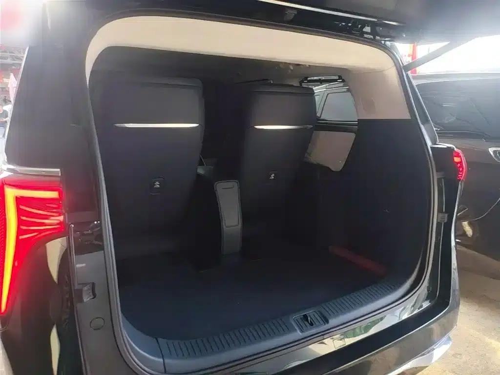 Century 2025 2.0T Four-Seat Private Edition — миниатюра 19
