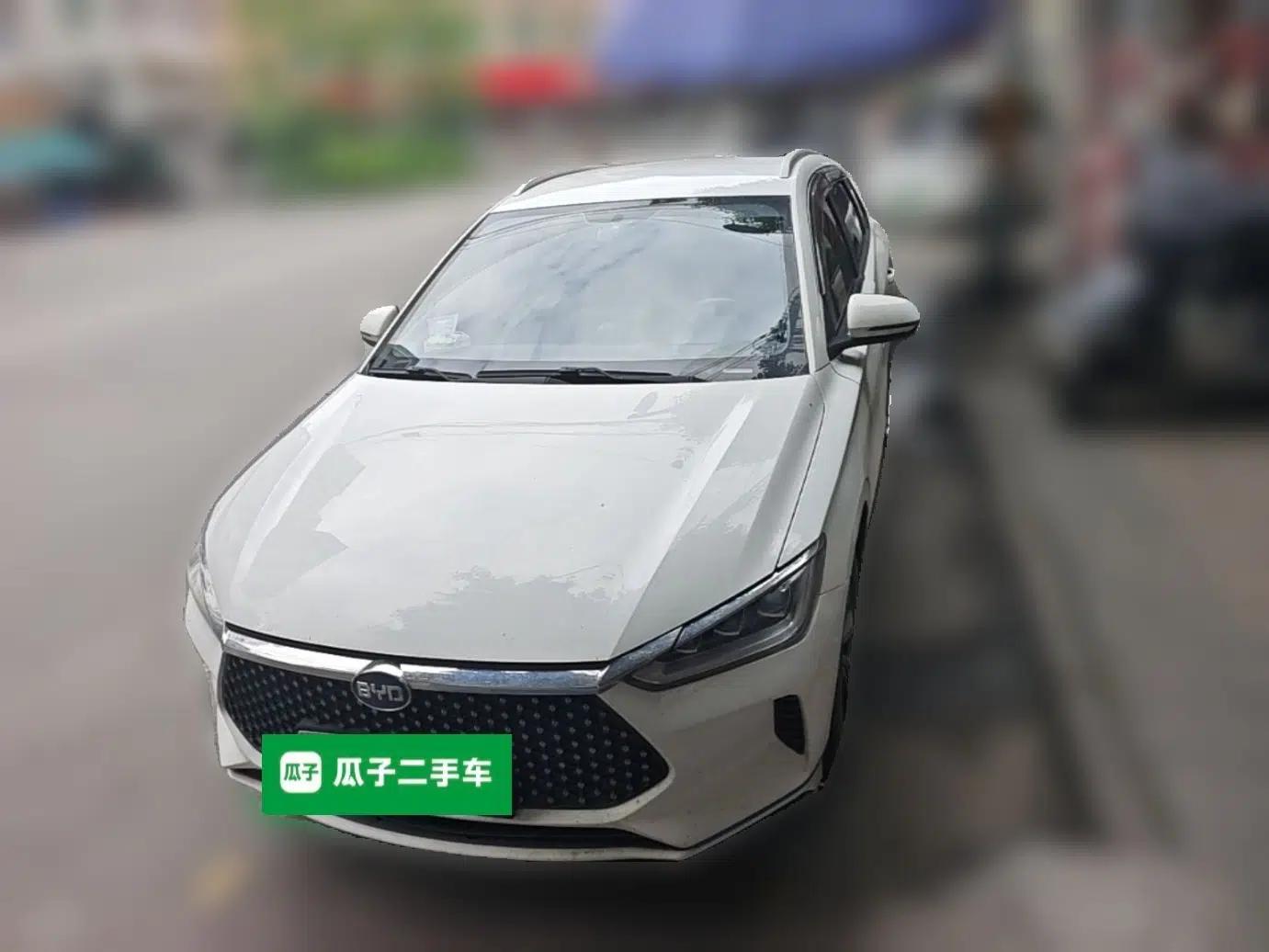BYD e2 2021 Luxury Model — миниатюра 2