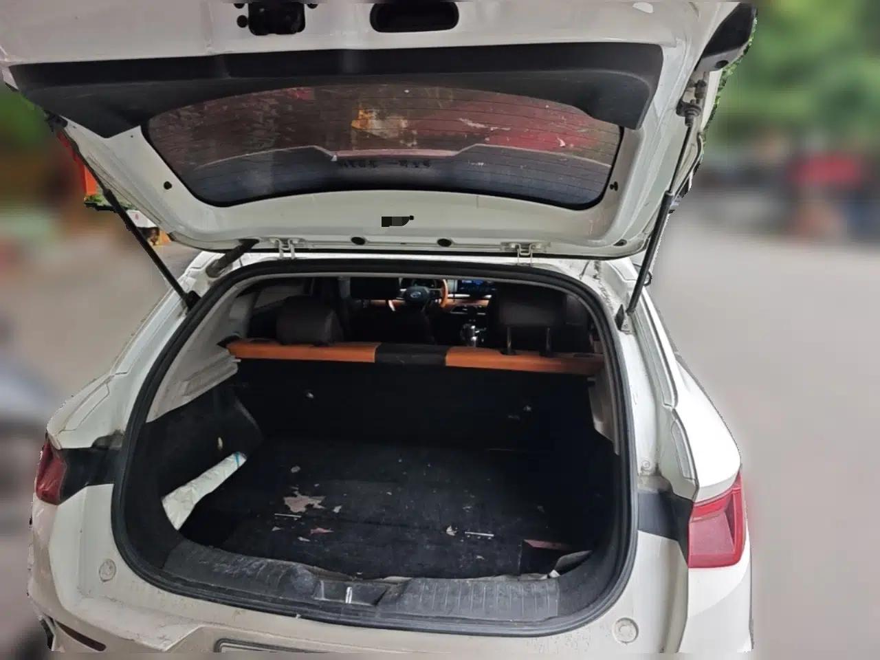 BYD e2 2021 Luxury Model — миниатюра 20