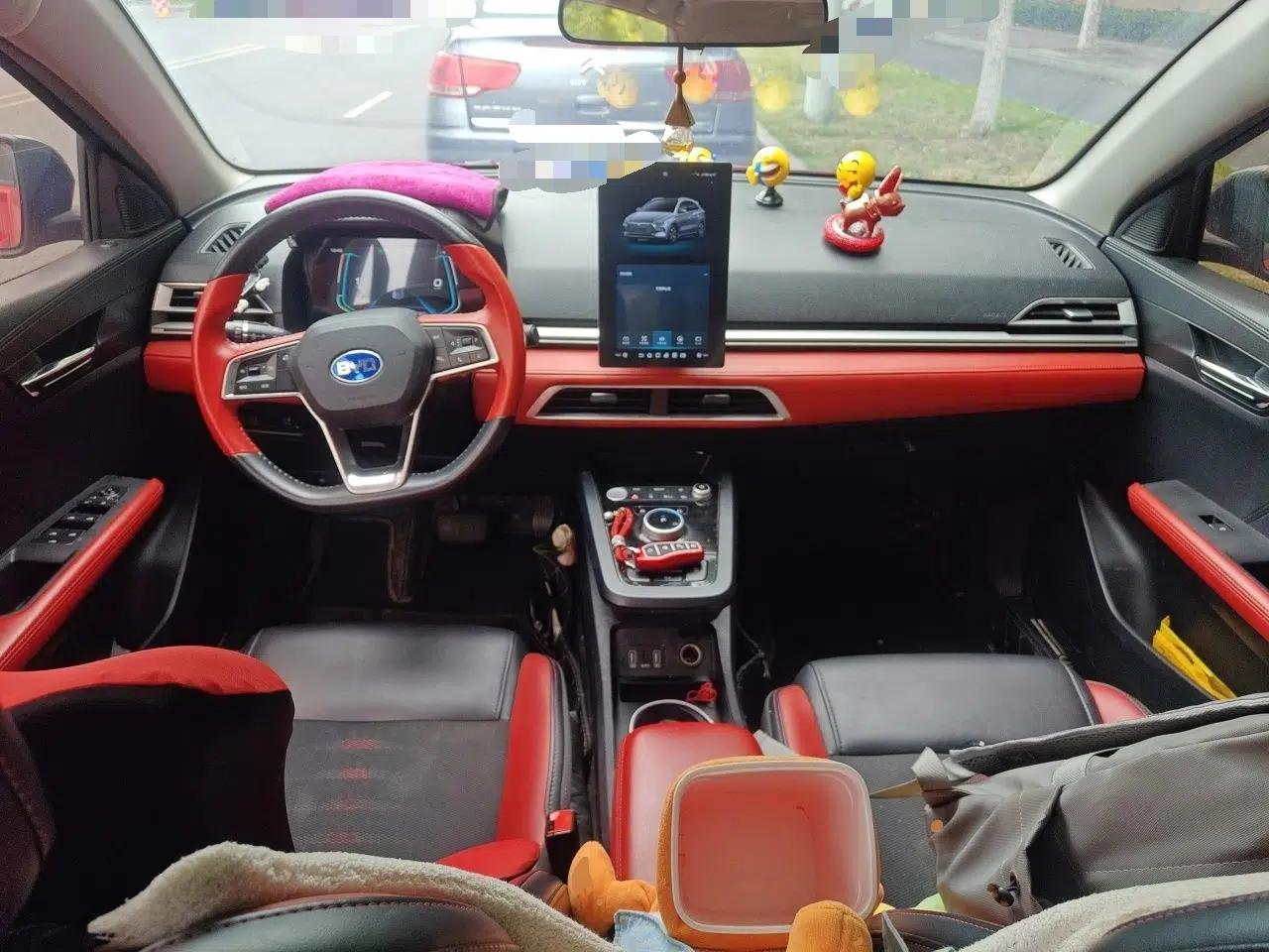 BYD e2 2021 Deluxe Model — миниатюра 10