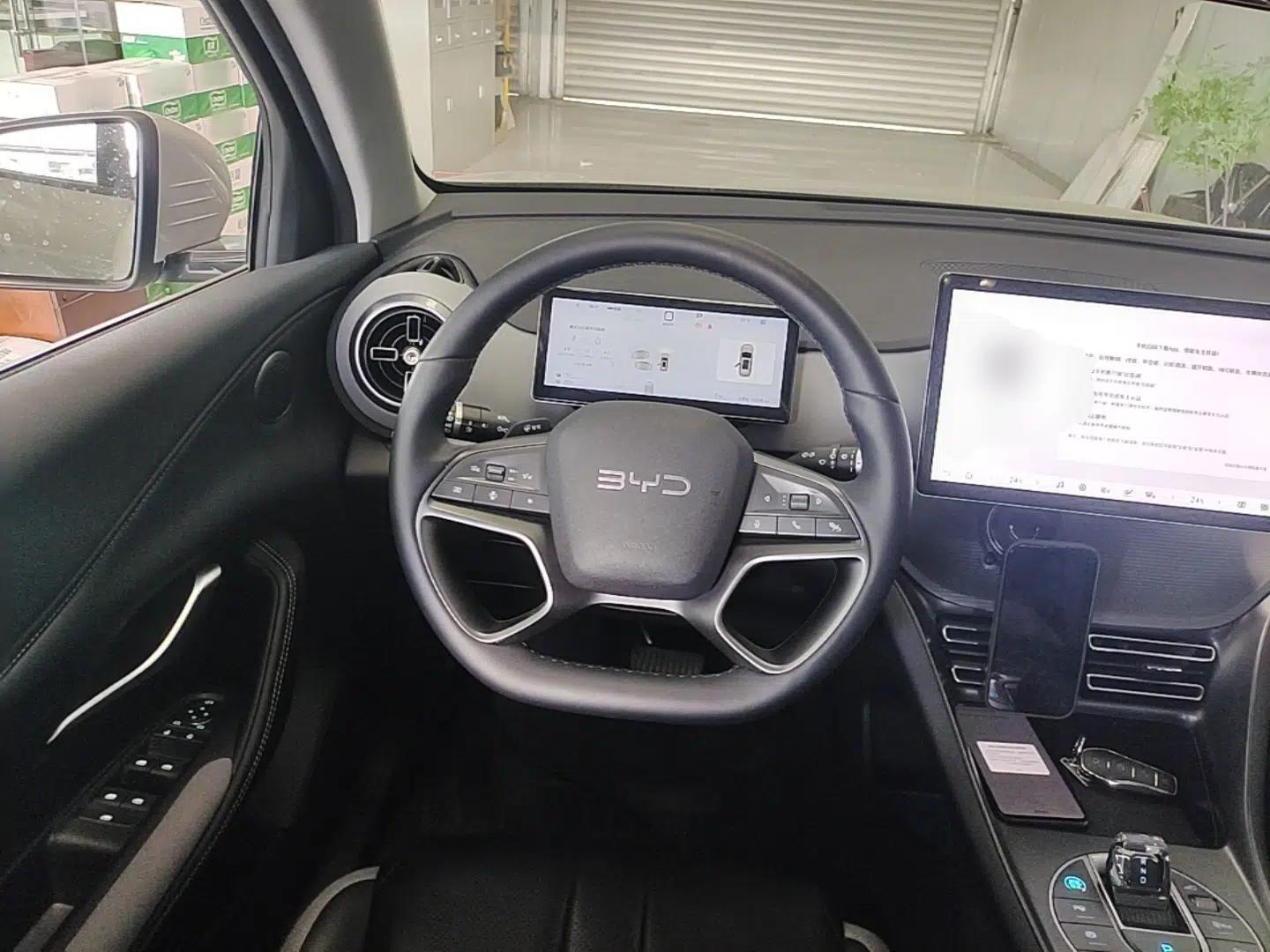 BYD Sealion 05 DM-i 2025 DM-i Smart Drive 75KM Luxury Model — миниатюра 14