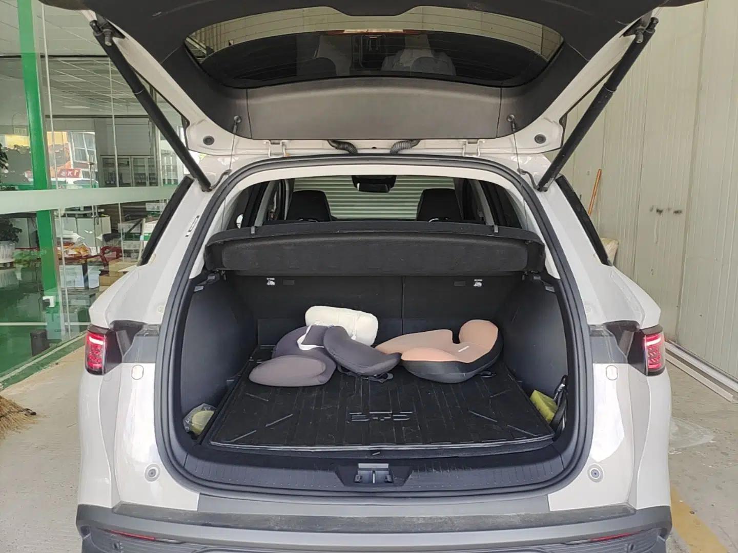 BYD Sealion 05 DM-i 2025 DM-i Smart Drive 75KM Luxury Model — миниатюра 22